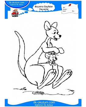 Çocuklar İçin Kanguru Boyama Sayfaları 